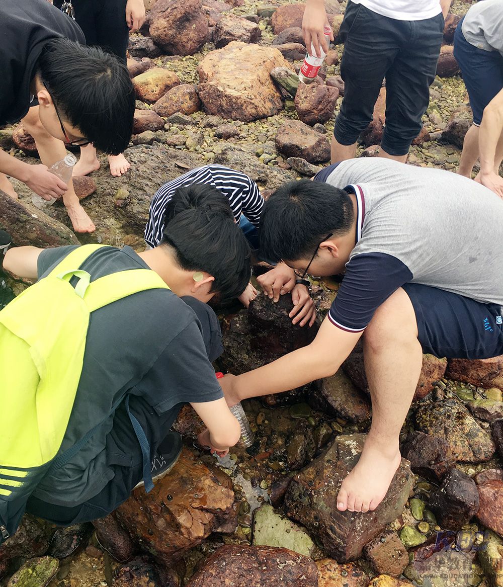 深圳嘉華T144軟件開發學員西涌一日游