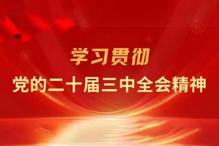 深化教育綜合改革（學(xué)習(xí)貫徹黨的二十屆三中全會(huì)精神）